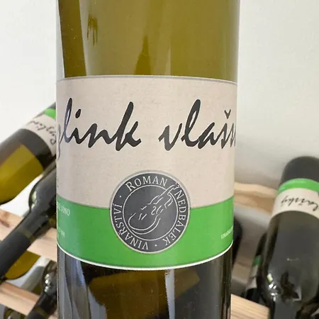 Apartament U Panmamky Šakvice