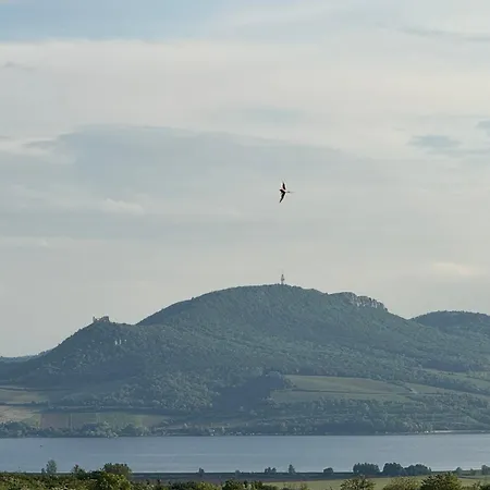 Apartament U Panmamky *