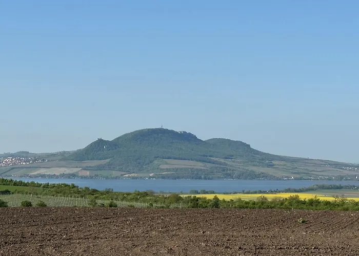 Daire U Panmamky Šakvice